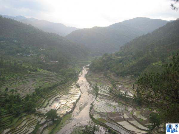 Farming, Uttrakhand, India